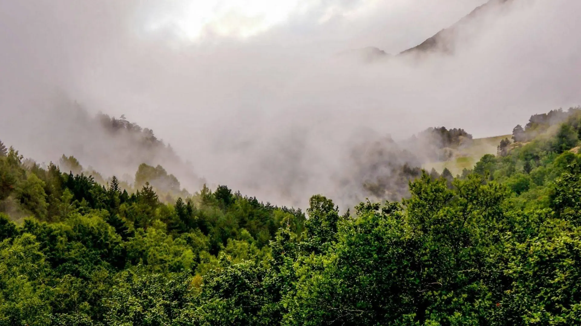 Aparthotel Rialb El Serrat Andorra