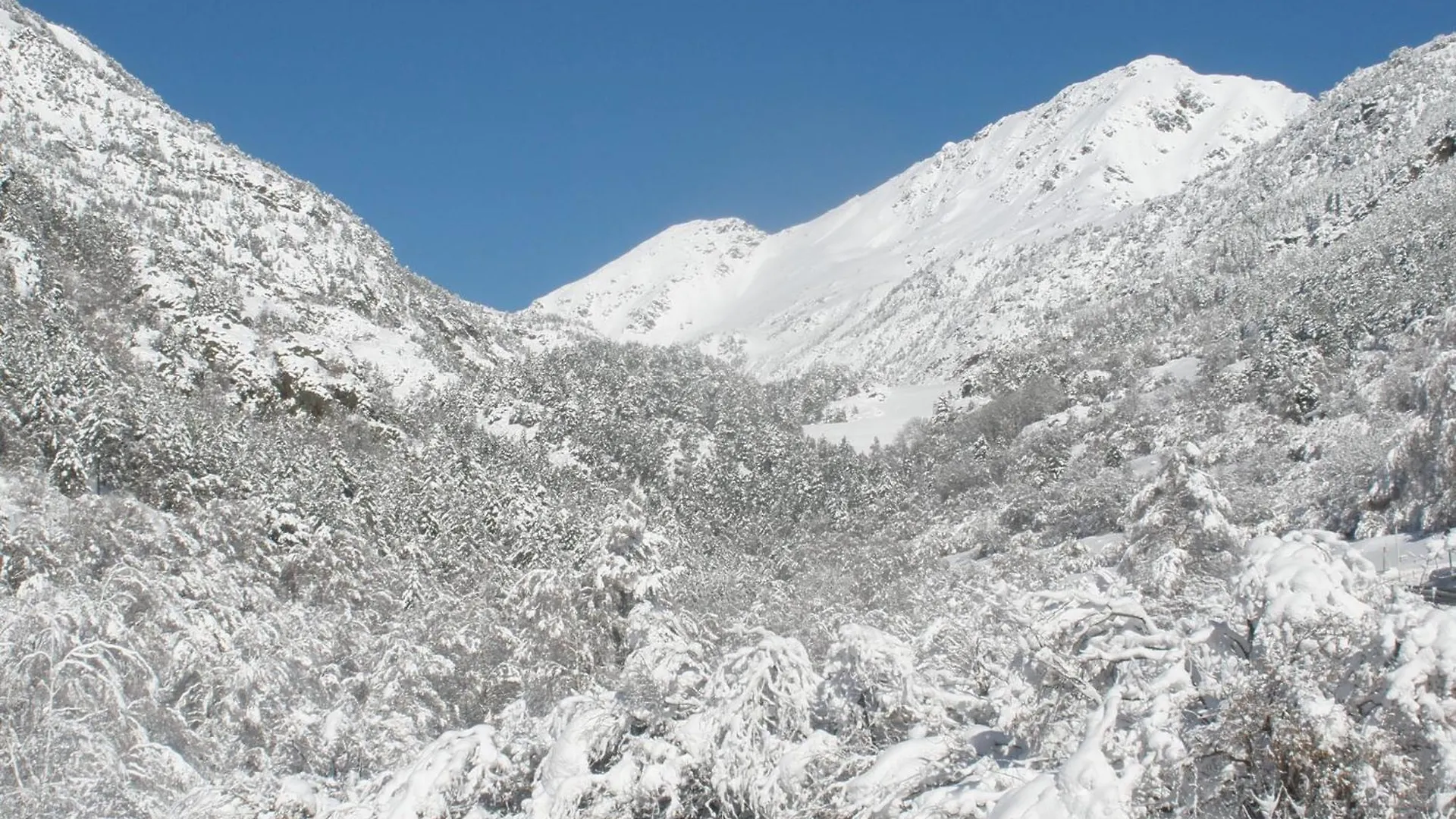 Aparthotel Rialb El Serrat 3*,